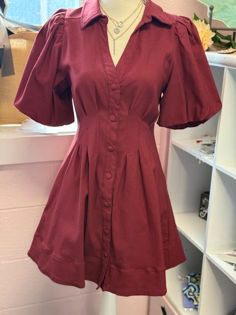 Glam Cinched Waist Bubble Sleeve Mini Dress